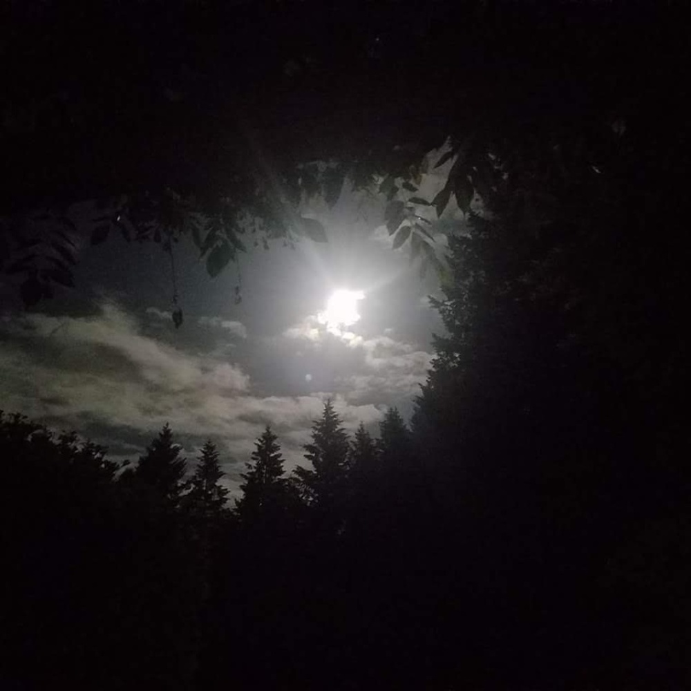 Moonlight Stroll? - Picture 2 of 2